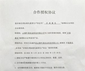 关于“沂南黄瓜”地理标志与云南叶菜农业科技有限公司为的合作授权证明