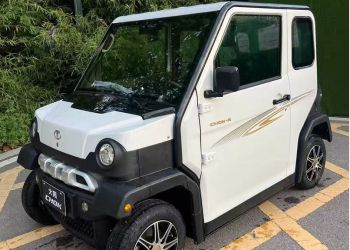 真心求购大阳四座电动车