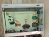 沂南森森下过滤1.2米鱼缸出售