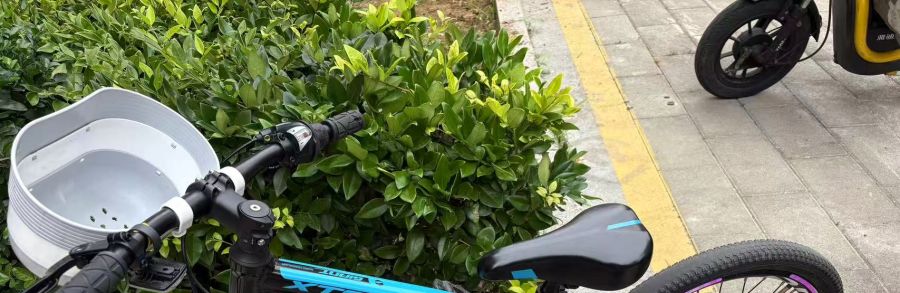 出捷安特儿童自行车