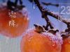 霜降来了