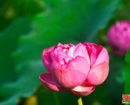 发现新论坛，发帖祝贺祝贺。