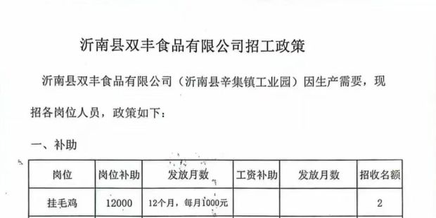 沂南双丰食品招工