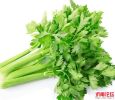 茶坡芹菜