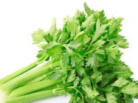 茶坡芹菜