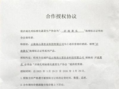 关于“沂南黄瓜”地理标志与云南高山菜农业科技有限公司的合作授权证明