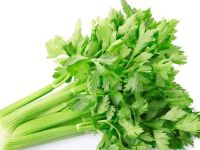 茶坡芹菜