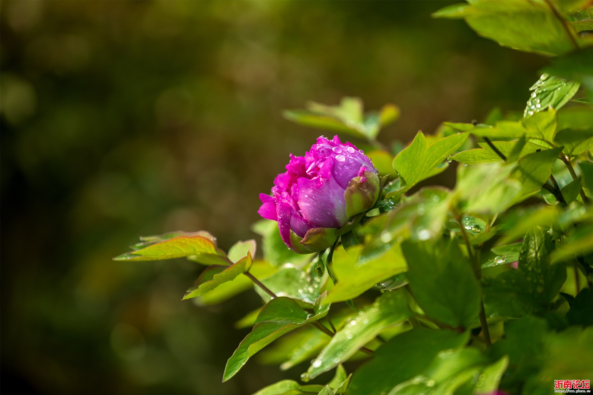 CD5A3534_副本.jpg