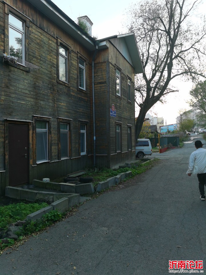 IMG_20241010_174409.jpg