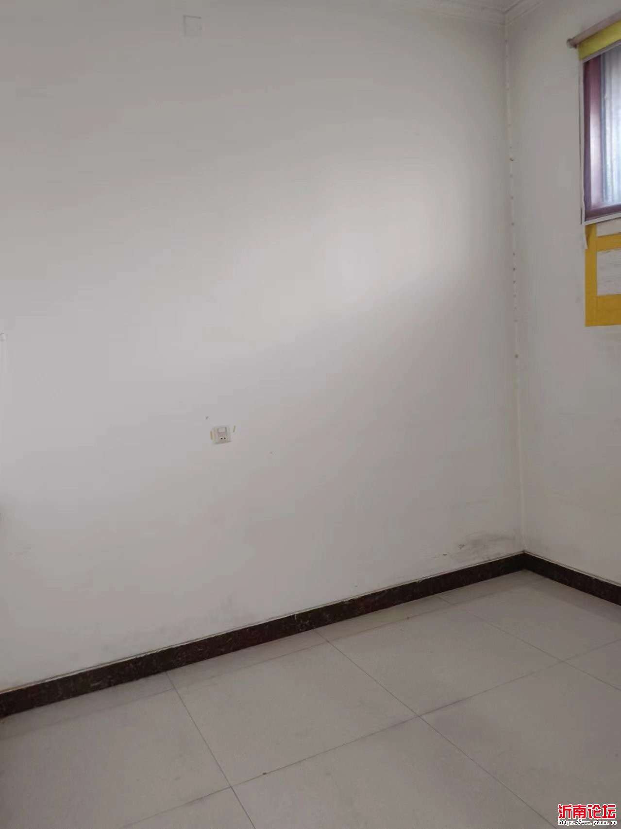 mmexport1730723260546.jpg