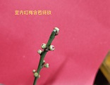 2024.11.9拍摄