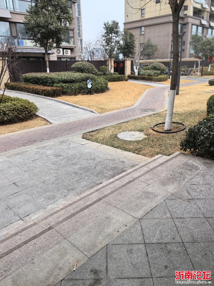 IMG_20250202_114932.jpg