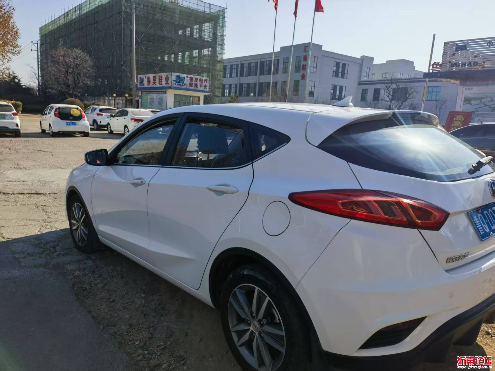 mmexport1740879816771.jpg