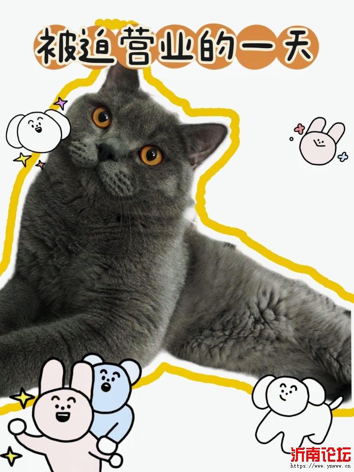 MEITU_20240624_132518189.jpg