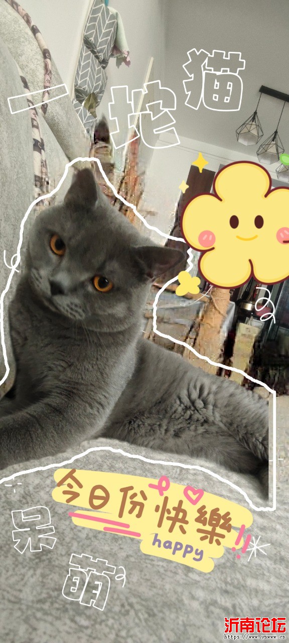 MEITU_20240624_133131869.jpg