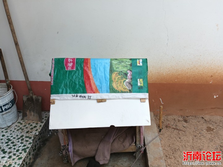 IMG20250427123020.jpg