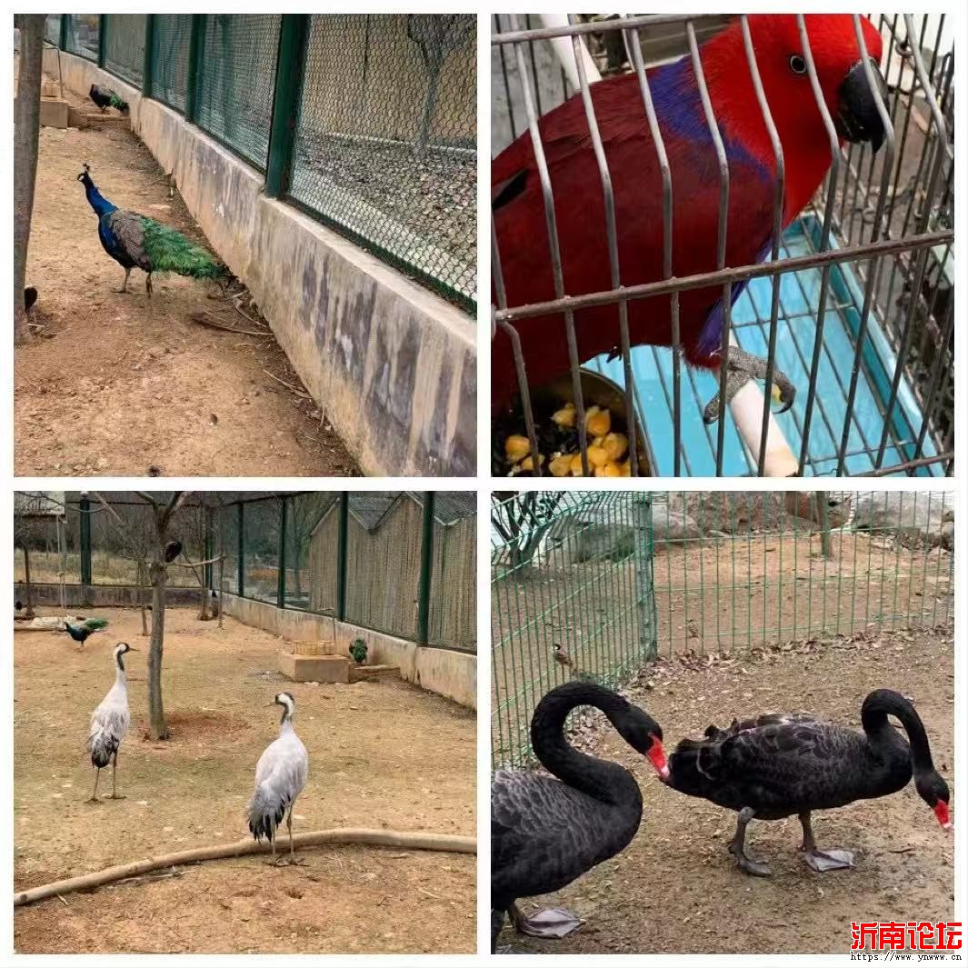微信图片_20250428161303.jpg