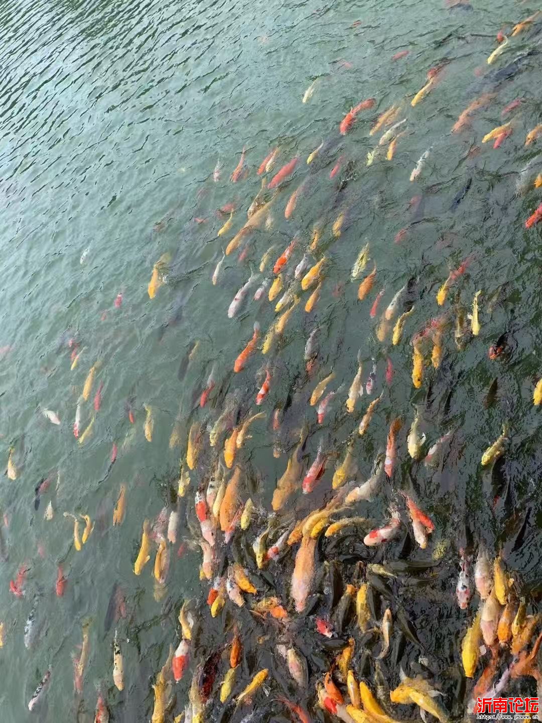 微信图片_20250428161310.jpg