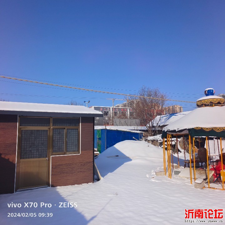 IMG_20240205_093929.jpg