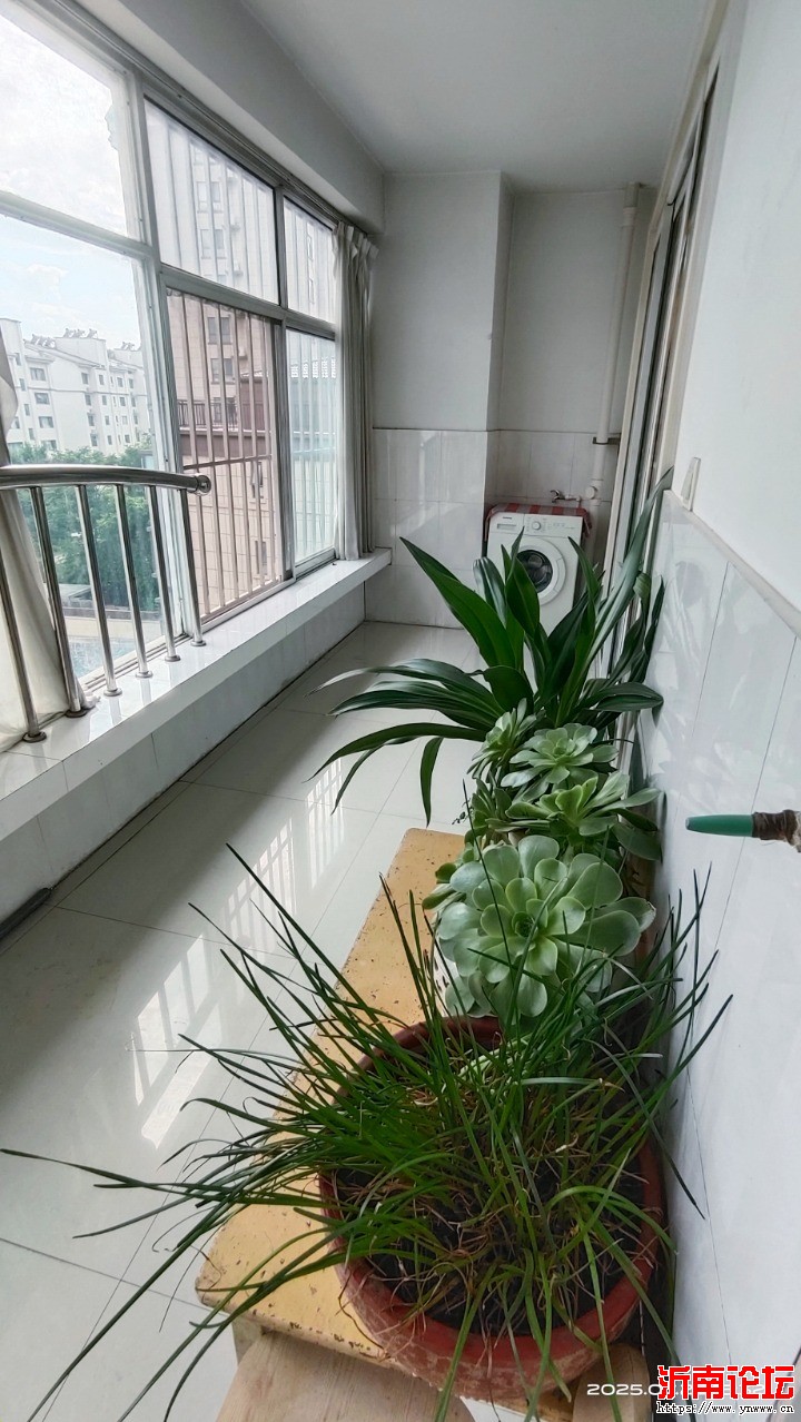 MEITU_20250722_153435325.jpg