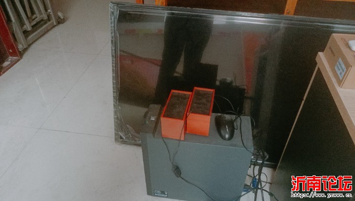 IMG20251015110120.jpg