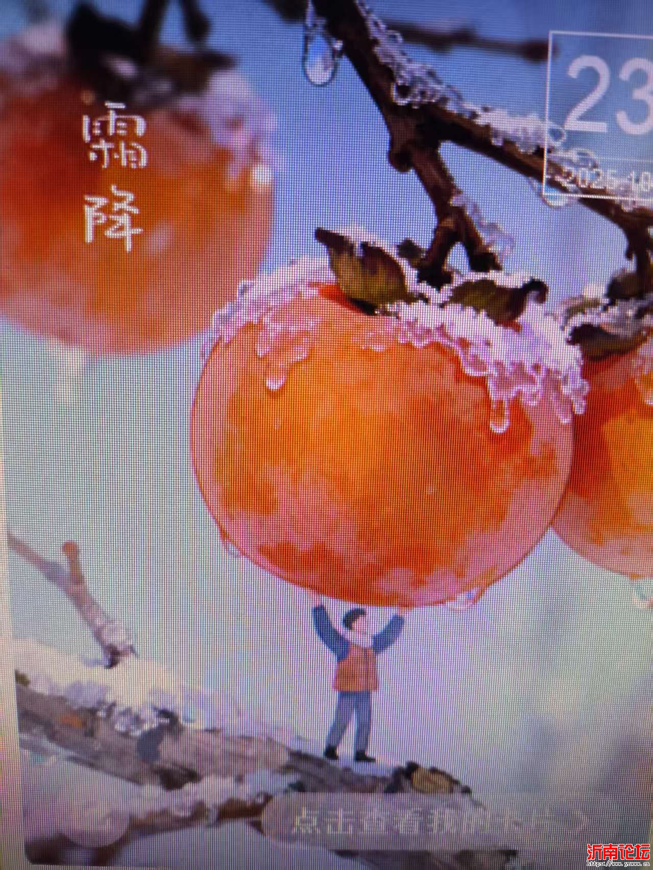 微信图片_20251023055307_19_2.jpg