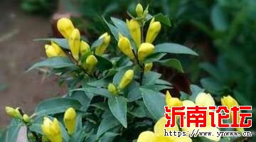 t114fa19f96bf485b49f8856d35.jpg
