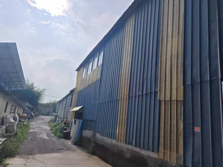 mmexport1791078022198.jpg