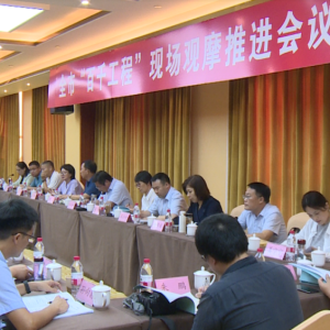 全市“百千工程”现场观摩推进会在沂南召开