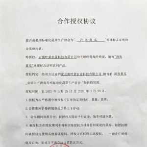关于“沂南黄瓜”地理标志与云南叶菜农业科技有限公司为的合作授权证明