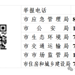 临沂市烟花爆竹“打非治违”举报奖励公告